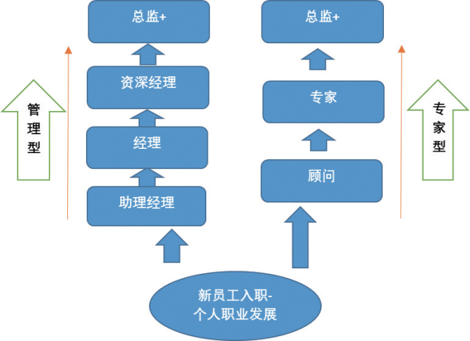 2024新奥门原料免费资料