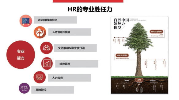 2024新奥门原料免费资料