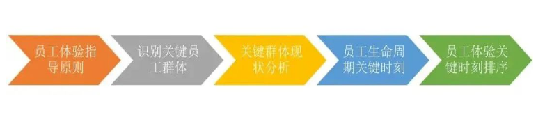 2024新奥门原料免费资料