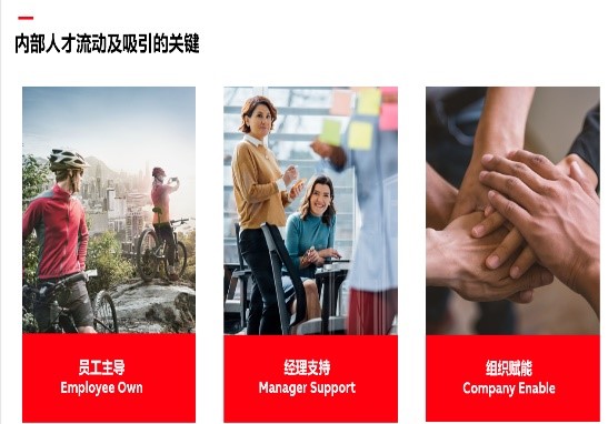2024新奥门原料免费资料