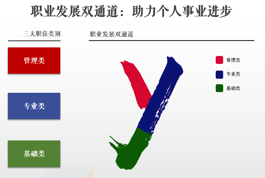 2024新奥门原料免费资料