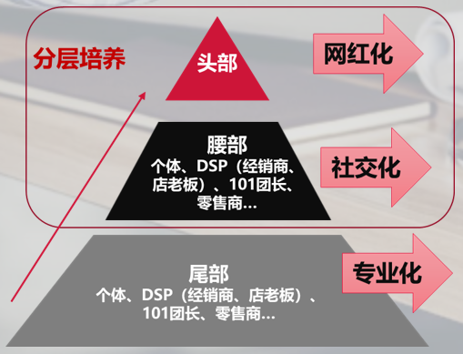 2024新奥门原料免费资料