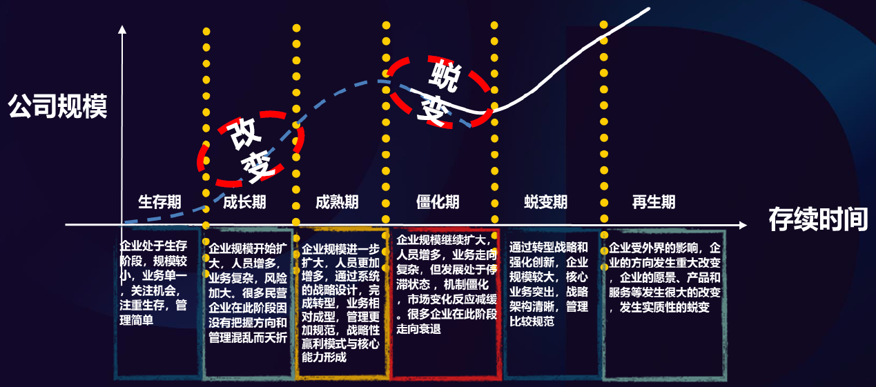 2024新奥门原料免费资料